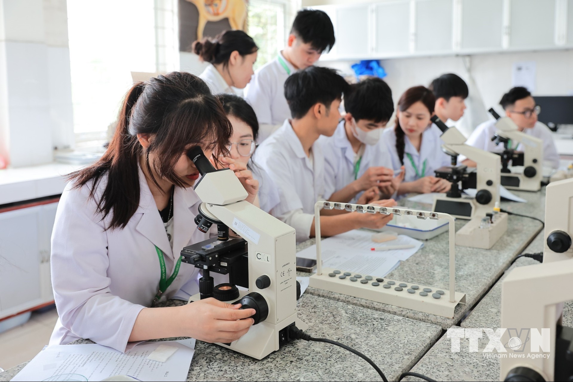 Sinh viên Khoa Chăn nuôi thực hành soi, đếm tế bào máu phục vụ chẩn đoán lâm sàng vật nuôi bằng kính hiển vi quang học. (Ảnh: Lê Đông/TTXVN)